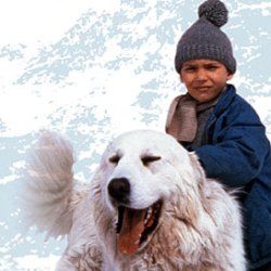 Fotoğraf Belle et Sébastien