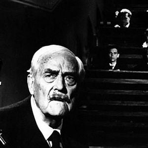 Fotoğraf Yaban Çilekleri