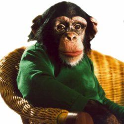 Fotoğraf Unser Charly