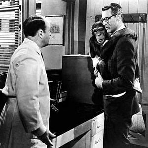 Fotoğraf Monkey Business