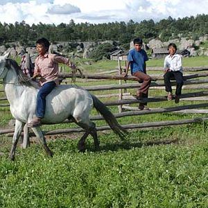 Fotoğraf Laura Amelia Guzmán