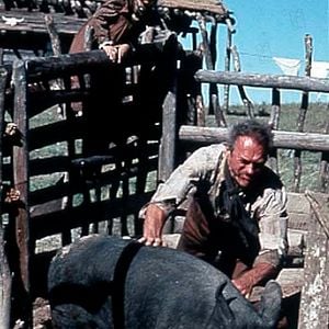 Fotoğraf Affedilmeyen