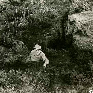 Fotoğraf Terence Fisher