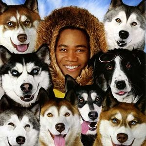 Fotoğraf Kar Köpekleri