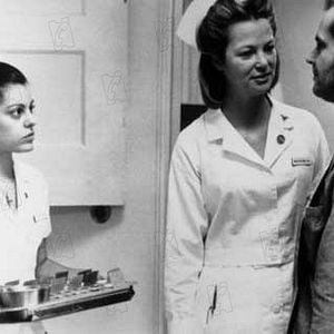 Fotoğraf Guguk Kuşu