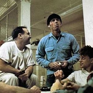 Fotoğraf Guguk Kuşu