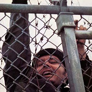 Fotoğraf Guguk Kuşu