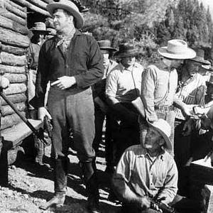 Fotoğraf Michael Curtis