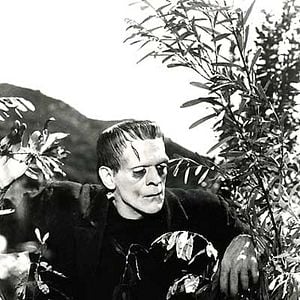 Fotoğraf Frankenstein