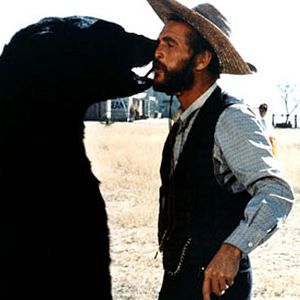 Fotoğraf Paul Newman