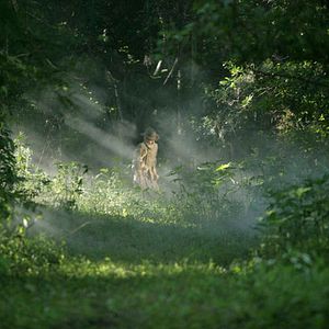 Fotoğraf Tommy Lee Jones