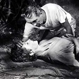 Fotoğraf Deborah Kerr