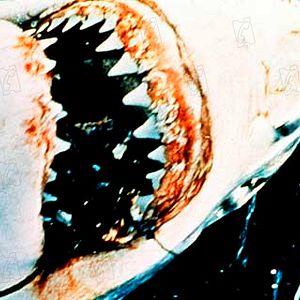 Fotoğraf Steven Spielberg