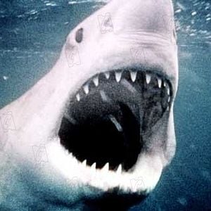 Fotoğraf Steven Spielberg