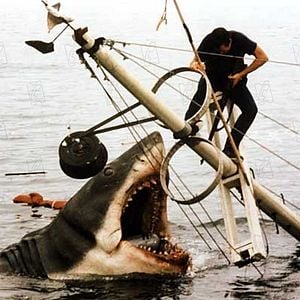 Fotoğraf Roy Scheider