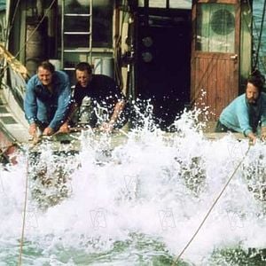 Fotoğraf Jaws