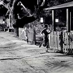 Fotoğraf Bülbülü Öldürmek