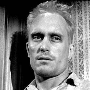 Fotoğraf Bülbülü Öldürmek