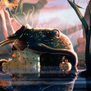 Fotoğraf Eric Darnell