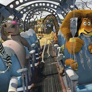 Fotoğraf Madagaskar 2