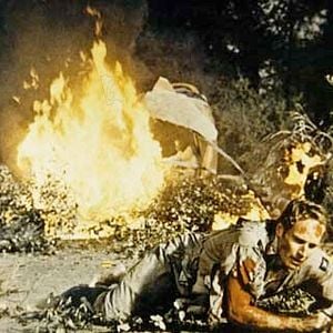 Fotoğraf Omega Man, The