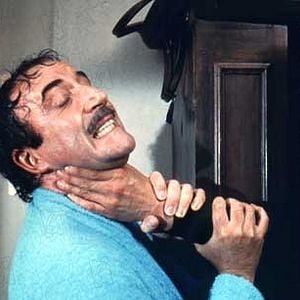 Fotoğraf Pembe Panterin Dönüşü