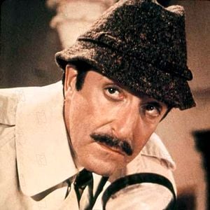 Fotoğraf Pembe Panterin Dönüşü