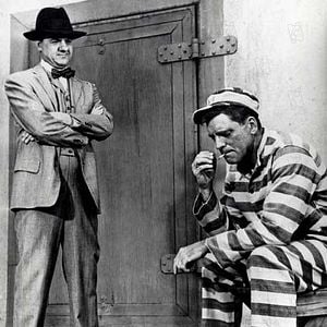 Fotoğraf Alkatraz Kuşçusu