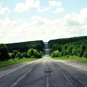 Fotoğraf Davide Ferrario