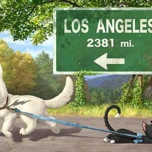 Fotoğraf Chris Williams