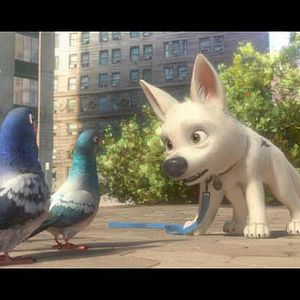 Fotoğraf Chris Williams