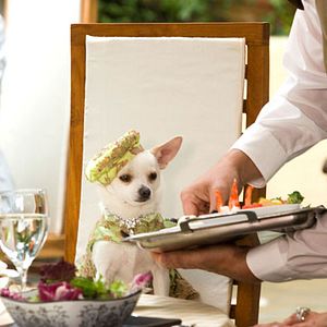 Fotoğraf Raja Gosnell