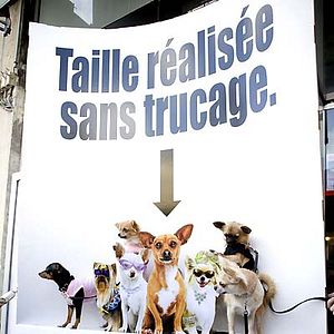 Fotoğraf Beverly Hills Çuvava