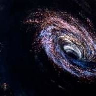 Fotoğraf Gary Nelson