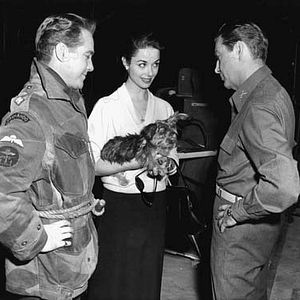 Fotoğraf Robert Taylor