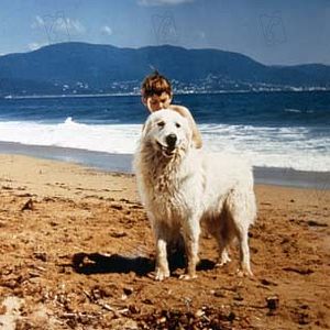 Fotoğraf Sébastien parmi les hommes