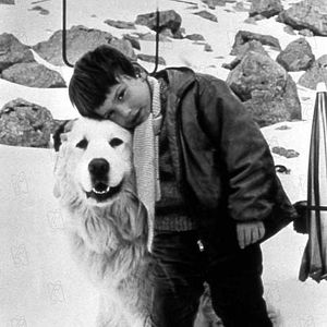 Fotoğraf Belle et Sébastien