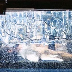 Fotoğraf Gavin Hood