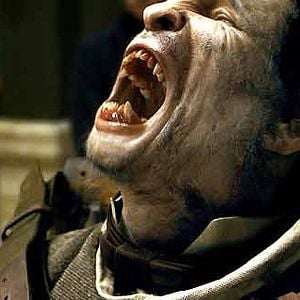 Fotoğraf Benicio Del Toro