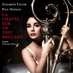 Fotoğraf Kızgın Damdaki Kedi