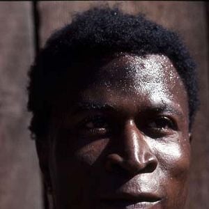 Fotoğraf Roots (1977)