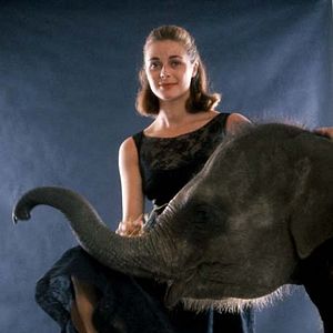 Fotoğraf Howard Hawks