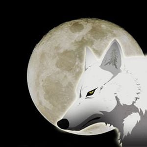 Fotoğraf Wolf's Rain