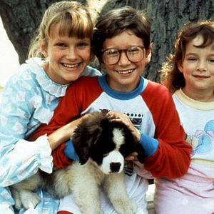 Fotoğraf Afacan Köpek Beethoven