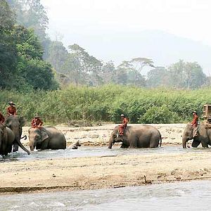 Fotoğraf Olivier Horlait