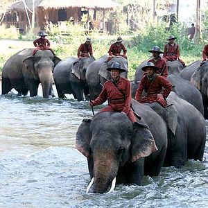 Fotoğraf Olivier Horlait