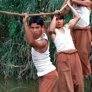 Fotoğraf Olivier Horlait