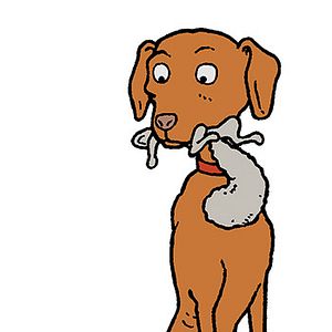 Fotoğraf The Goode Family