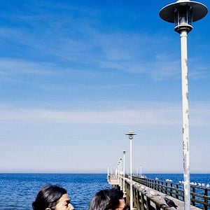 Fotoğraf Kiraz Çiçekleri