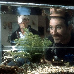 Fotoğraf Wanda Adında Bir Balık